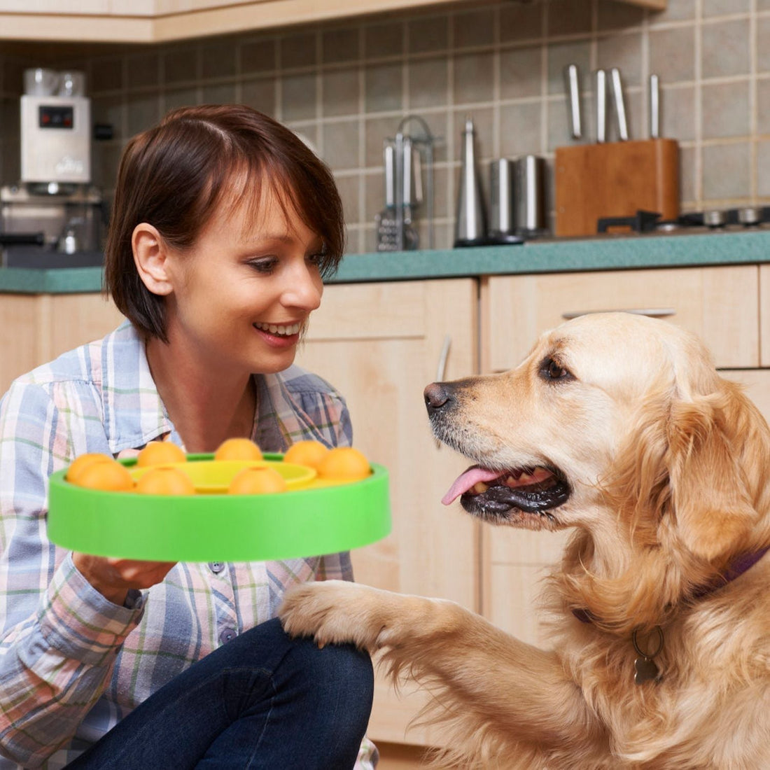 🐾 Creating a Pet-Friendly Home: Design Tips for Happy Tails and Paws